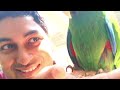 Peeku Park Yercaud | Must Visit in Yercaud | Interaction With Birds & Animals | Exotic Species |Ep.4