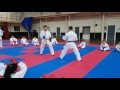 Junior Lefevre Sensei at CIKA England Seminar