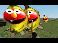 BANANA ELMO FAMILY VS HOUSES (Garry's Mod)