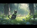 Lofi With My Cat || Drizzle & Cat 🐱 🌧️Chill/Sleep/Healing  [ Lofi Mix - Lofi Songs ]