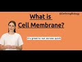 What is The Cell Membrane?|Definition And Functions Of The cell Membrane