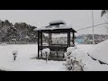 中国 湖南大雪