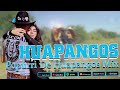 Mix de Huapangos 2024 ~ Popurri: Huapangos Pa' Zapatear ~ Huapangos Chingones Mix
