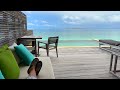 Inside Our Dreamy Maldives Ocean Pool Villa: A Luxury Stay Review! | blessed4life