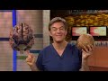 Dr. Oz | S7 | Ep 34 | Is Almond Milk Actually Healthy? Dr. Oz Debunks Myths | Full Episode