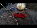 Wobbles the gamer duck
