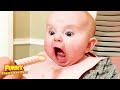 You Laugh You Lose 😜 Most Funniest Baby At Home Moments || Funny Babies and Pets