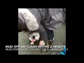 How to quickly and easily clean your muddy dog!
