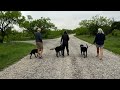 Copper Breaks State Park / Quanah, Texas / A Park & Campground Fav!