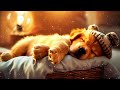 Anti-Anxiety Music for Dogs 🐶 Calming Music for Dogs ♬ Deep Sleep for Dogs 🐶