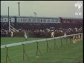 The Grand National (1967)