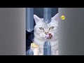 Funny Dogs And Cats Videos 2023 🤤 - Best Funniest Animal Videos Of The Month #27