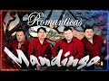 Grupo Mandingo Mix 2024 🎶 Exitos Sus Mejores Canciones De Grupo Mandingo 🎶 Grupo Mandingo Romanticas