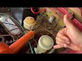 MG Midget Clutch Bleed Solved