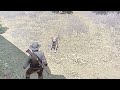 Rufus the dog - RDR1