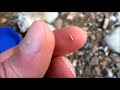 Testing 2 New Gold Panning Spots And Dropping A Picker - Tyndrum Crom Allt Gold Panning