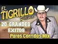 El Tigrillo Palma - Puros Corridos Pesados Mix ( 20 Grandes Exitos )