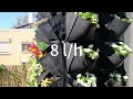 Vertical Garden / Wall Garden DIY Tutorial