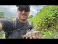FUN RIVER SESSION! Multi-Species RIVER FISHING on Savage Gear Lures!