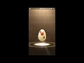Pokemon GO Team Rocket Leaders - 9 shadow Pokemon, 9 12km egg hatches