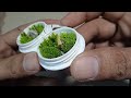 Miniature Garden Tutorial #miniaturegarden #uniqueideas #reduceandreuse #naturelover