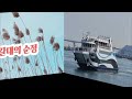 즐샘 애창커버곡2 # 고향무정#갈대의순정