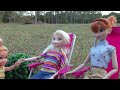 Hide and Seek ! Elsa & Anna toddlers - Li'l Woodzeez - Calico Critters