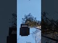 birds eating at a feeder