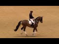 Dressage Unwrapped - 2019 Olympia, The London International Horse Show