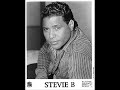 Stevie B- Spring Love (PERCAPELLA & DUB MIX)