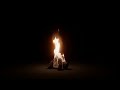 Chaos Phoenix / Firewood