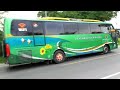 Heboh Balapan Bus Sesama Pelor Sumatera di Jalur Pacu