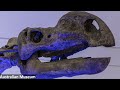 The Scientific Accuracy of Walking With Dinosaurs - Episode 5: Spirits of the Ice Forest