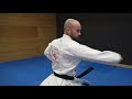 ANAN pt. 3 - ryuei ryu kata explanation - TEAM KI