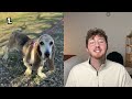 Top 5 Dogs of the Week!