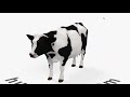 Rotating Cow