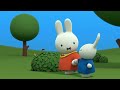 Ghost in the cupboard! | Miffy | Full Episodes