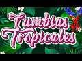 TROPICAL FLORIDA,FITO OLIVARES,LOS KARKIKS🍹CUMBIAS TROPICALES PARA BAILAR💃TROPICALES MIX EXITOS 2024