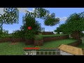 Minecraft 1.1 Updates!