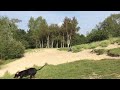 Rottweiler vs ball, slowmotion!