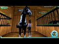 Shopping Spree on Night Star! | Star Stable Updates