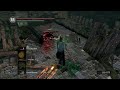 Dark Souls PvP - Hey... that's not a Leo Ring!