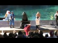 Best Wedding Proposal: Seaworld Australia 2012.mpg