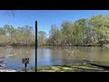 LeFleurs Bluff State Park / Jackson, Mississippi / A Campground Fav!