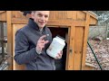 Backyard chickens in winter: Weatherproofing and feed.