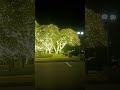 Christmas Lights in Johnson City TX