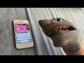 SB Movie: Shark Puppet plays Tom Loves Angela!