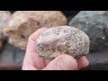 Kimberlite or Pudding stone?