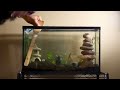 First Planted Aquarium! “Temple and Cave” #bettatank #aquariumhobby #aquascaping #bettatank