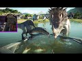 SPINOCERATOPS RAMMING HUMANS & Spinoraptor's New BRUTAL Animations!! | Jurassic World Evolution 2